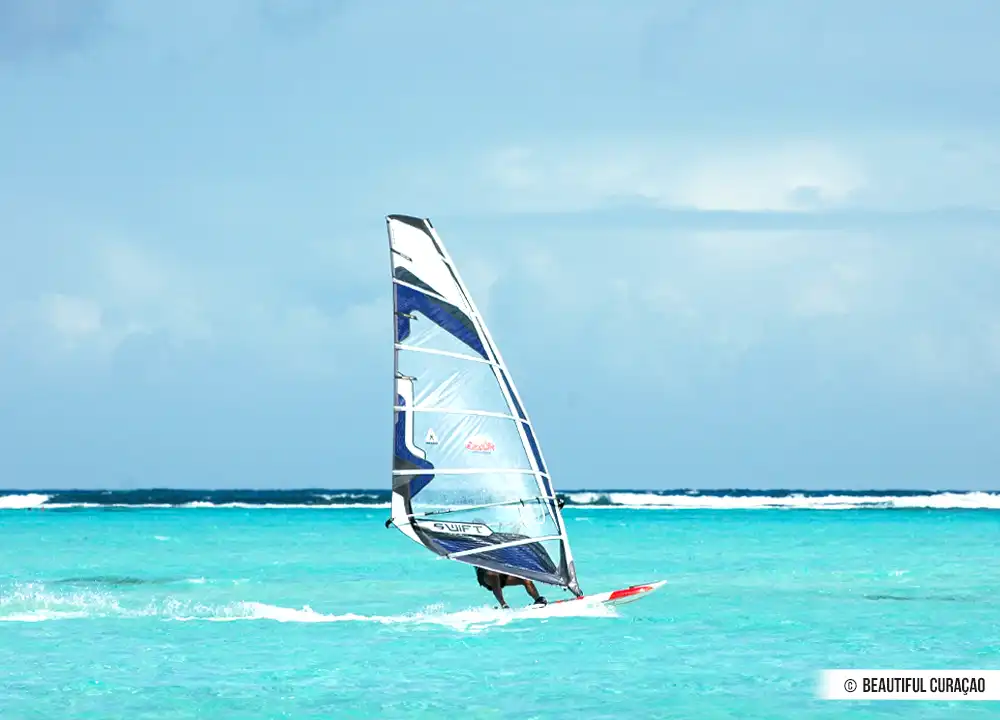 Windsurfer