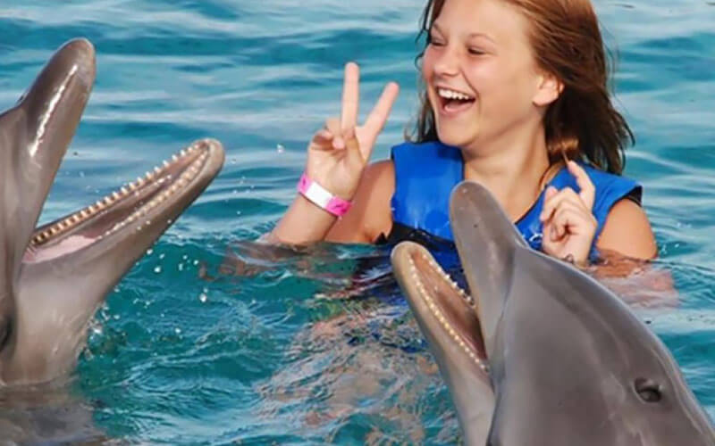 Zwemmen met dolfijnen op Curaçao!