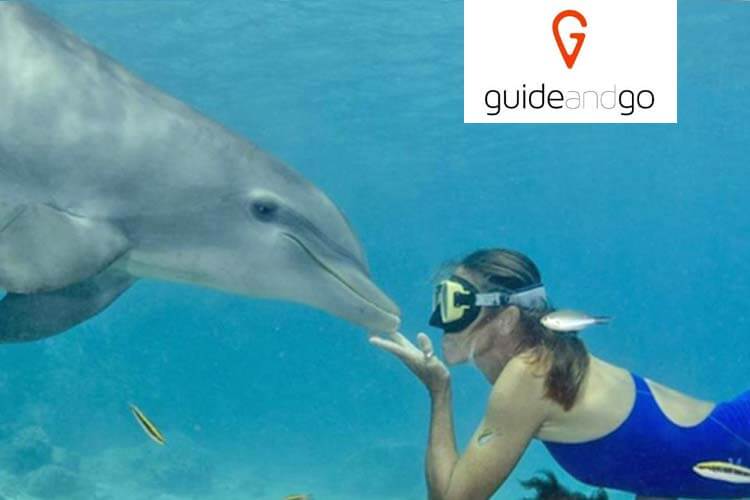 Freediven en snorkelen  met dolfijnen